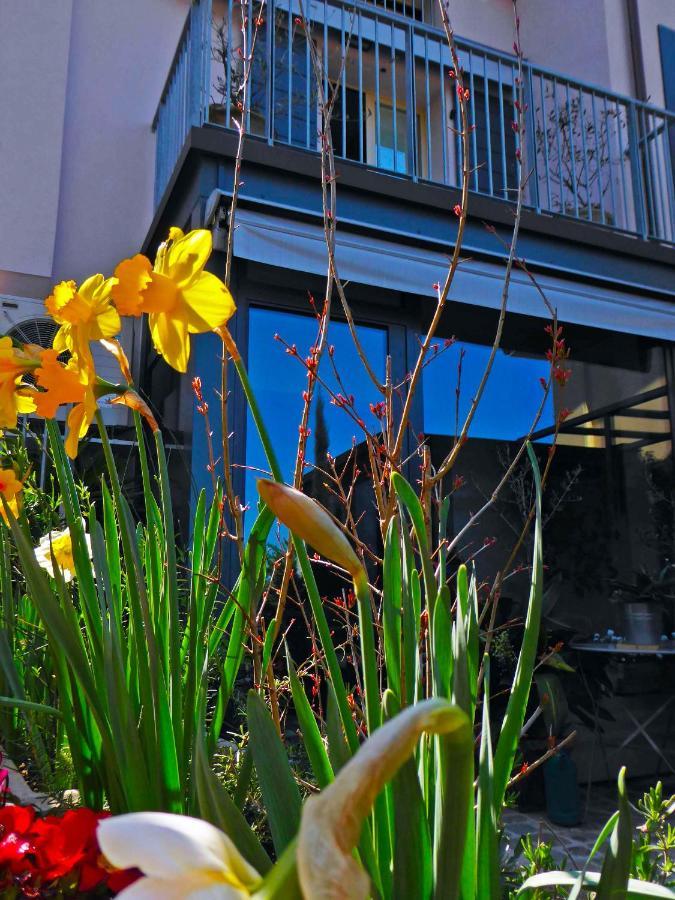 Fiorenzuola di Focara Fiorenzuola Bed & Breakfast מראה חיצוני תמונה